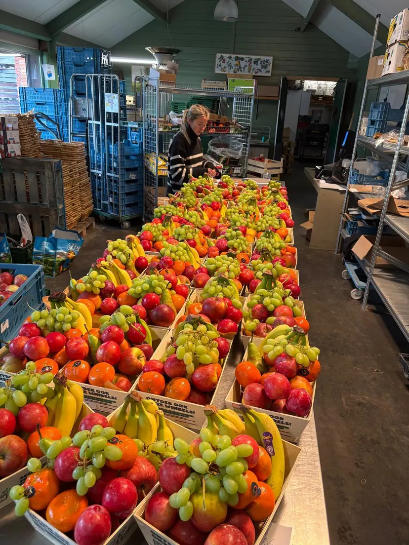 Lange rijen fruitbakjes in het atelier