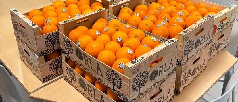 Vers schoolfruit in de klas